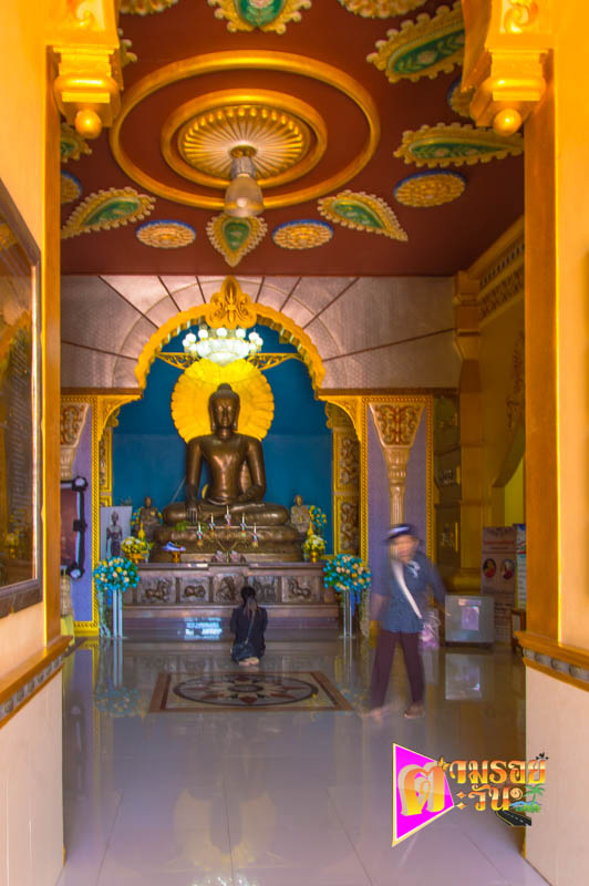 ตามรอยตะวัน